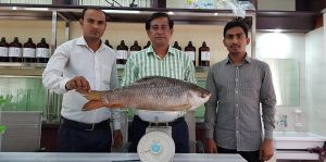 58822251 656778664763126 3481276949974745088 n