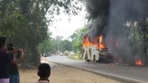 59915423 1481813491958602 658702409584869376 n