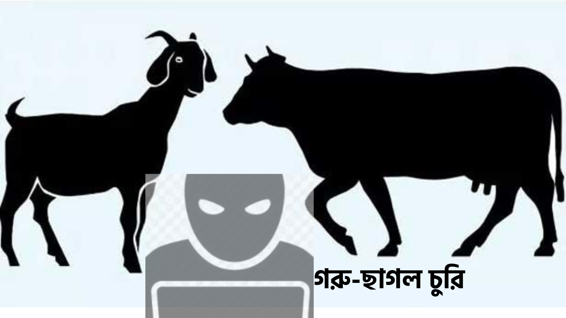 Feature Image