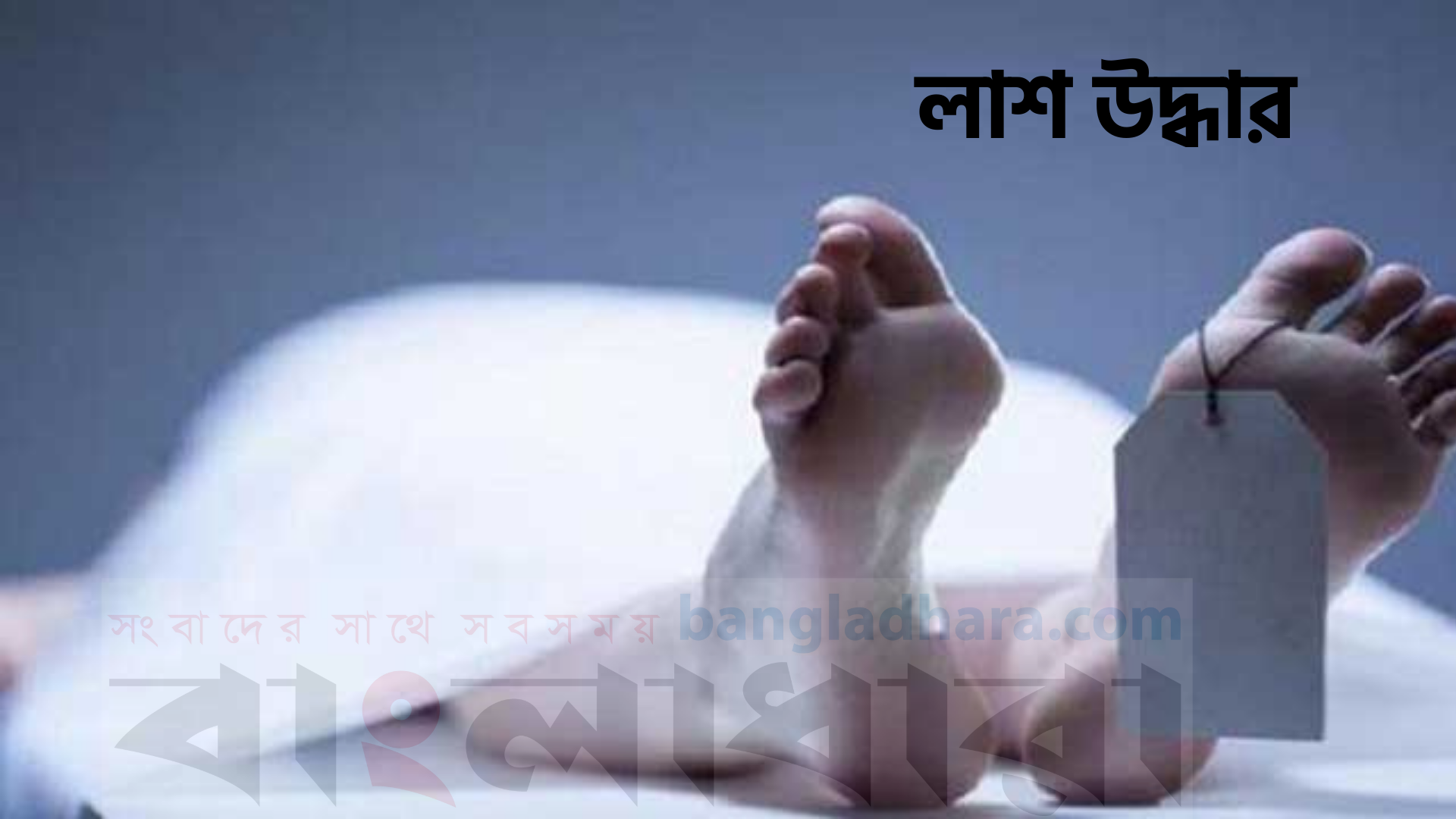 Feature Image