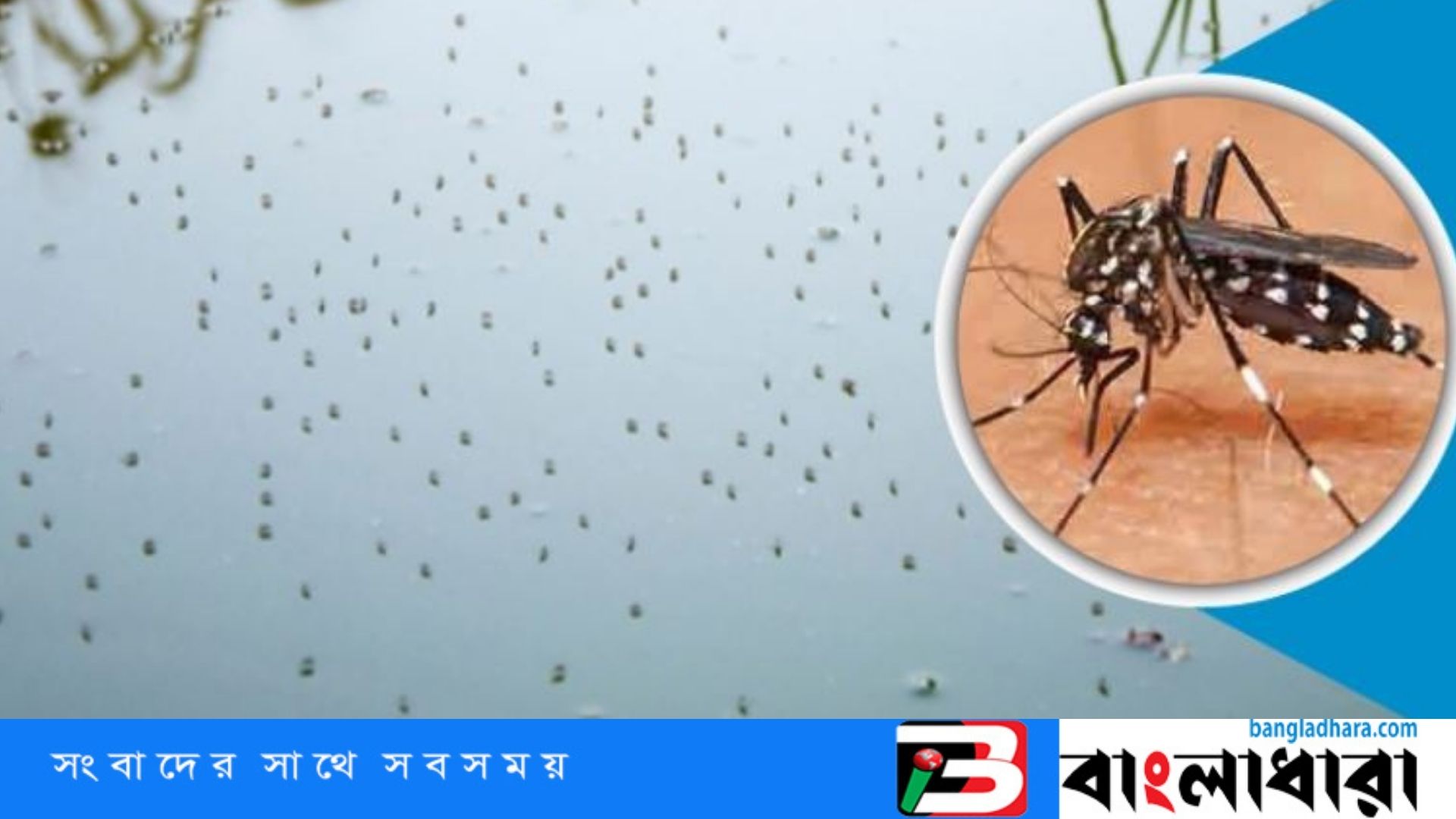Feature Image