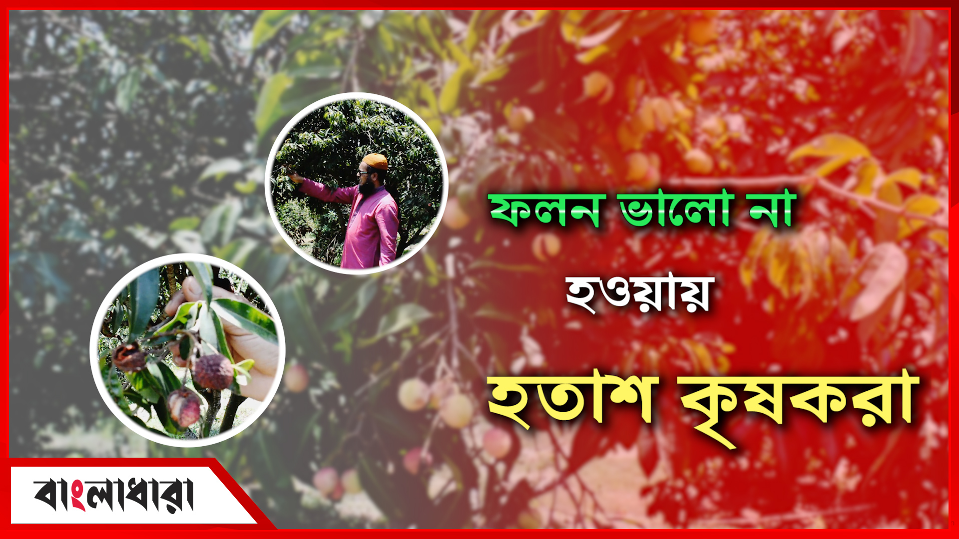 Feature Image