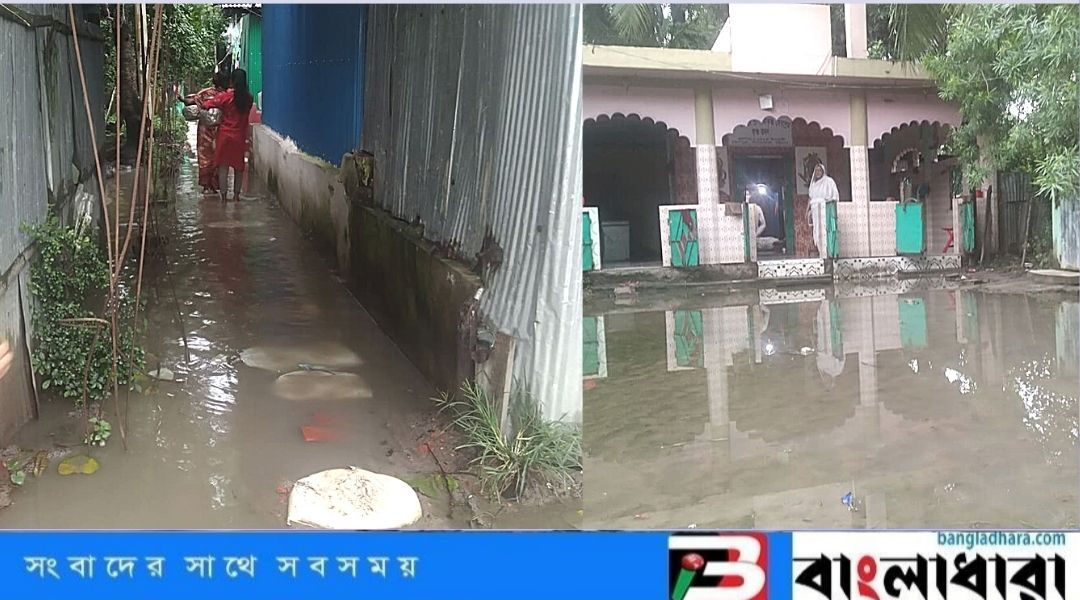 Feature Image