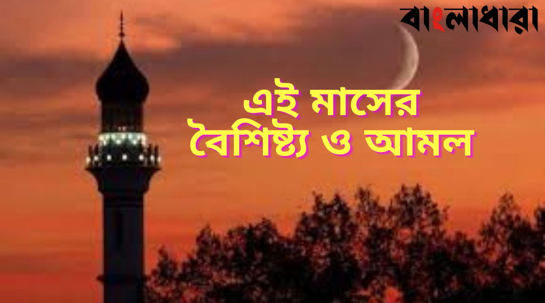 Feature Image