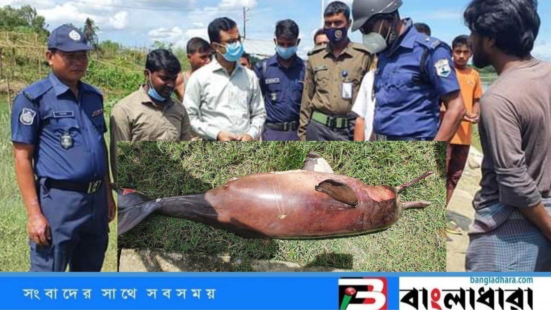 Feature Image
