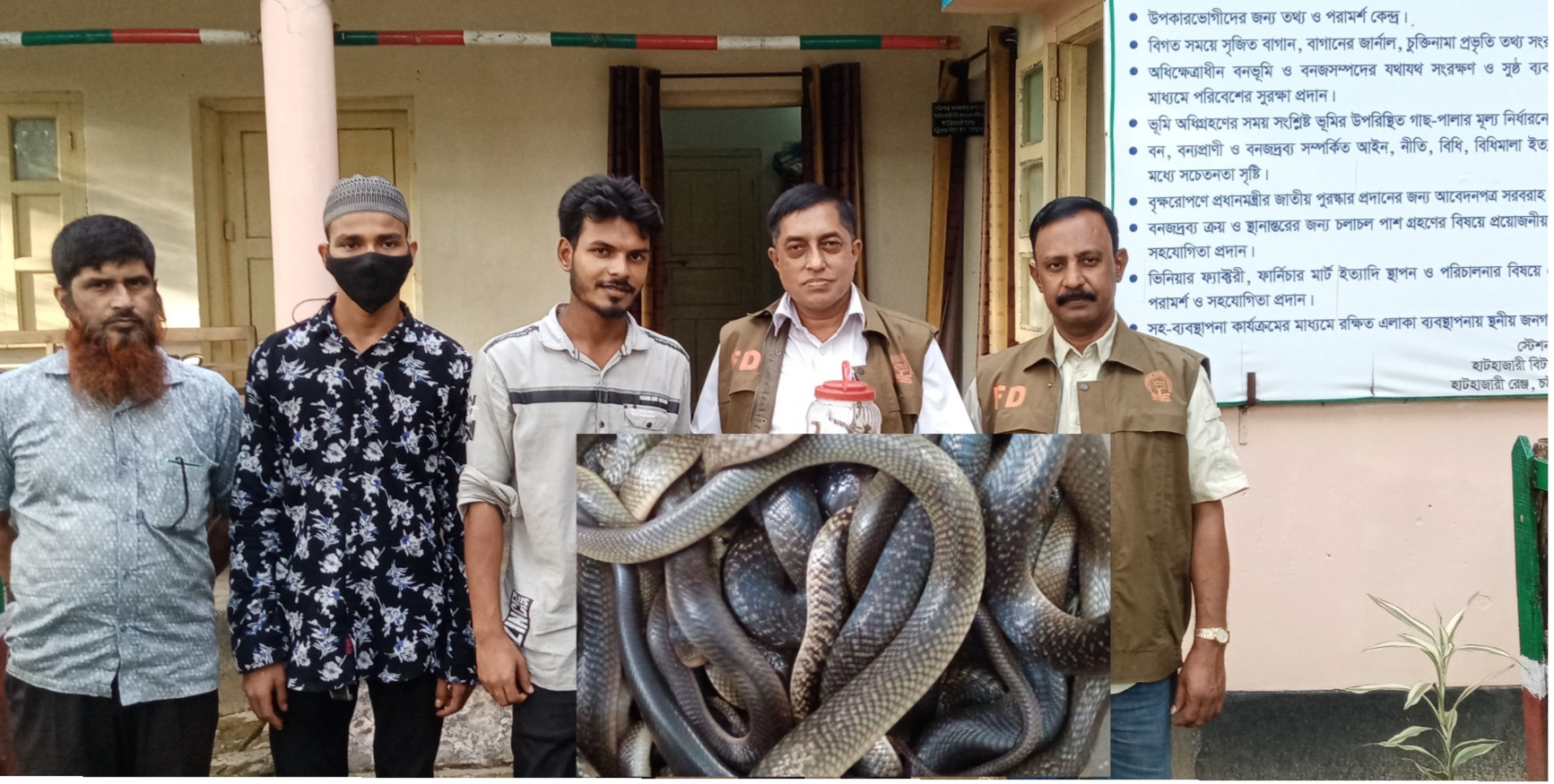 Feature Image