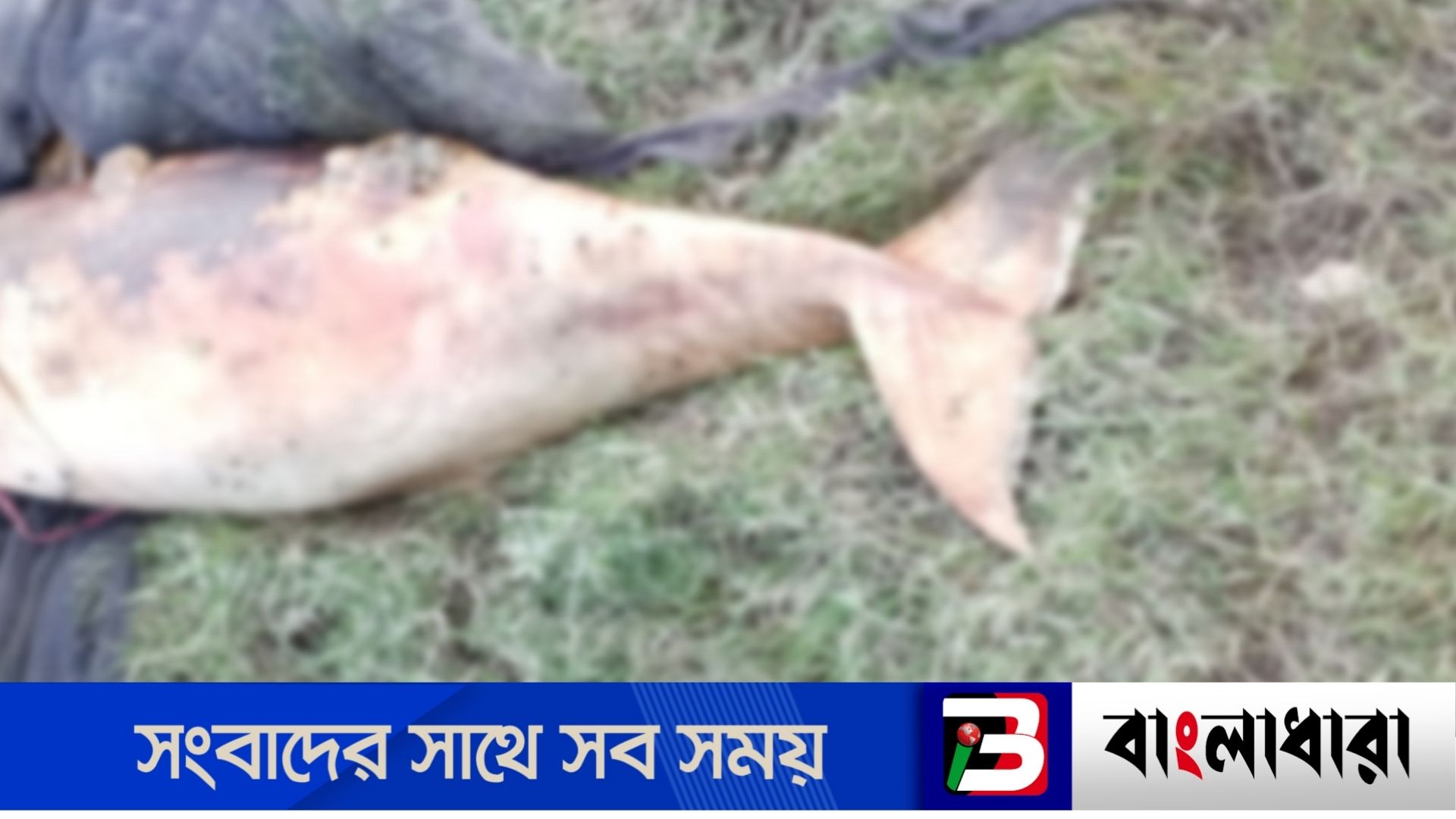 Feature Image