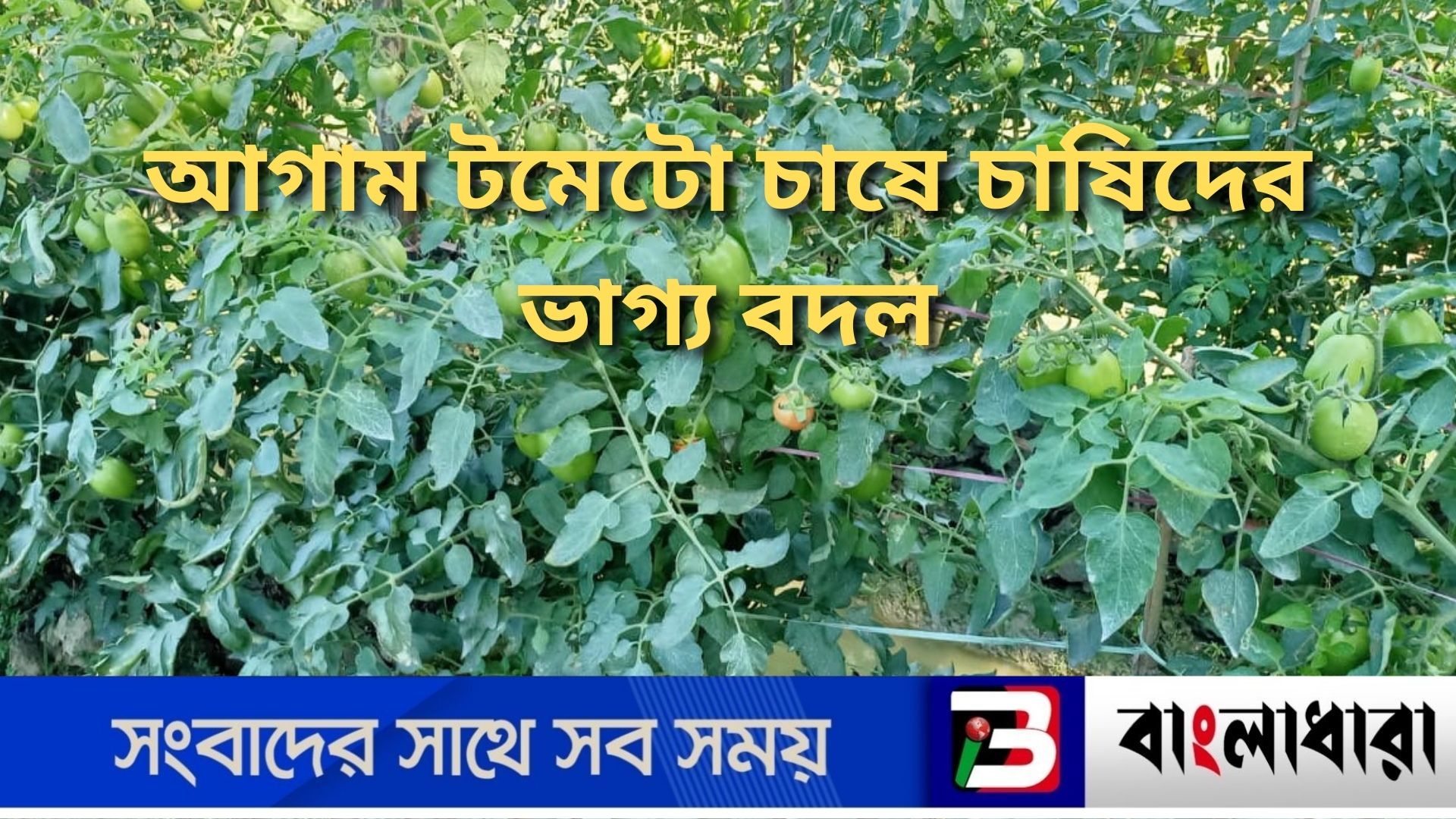 Feature Image