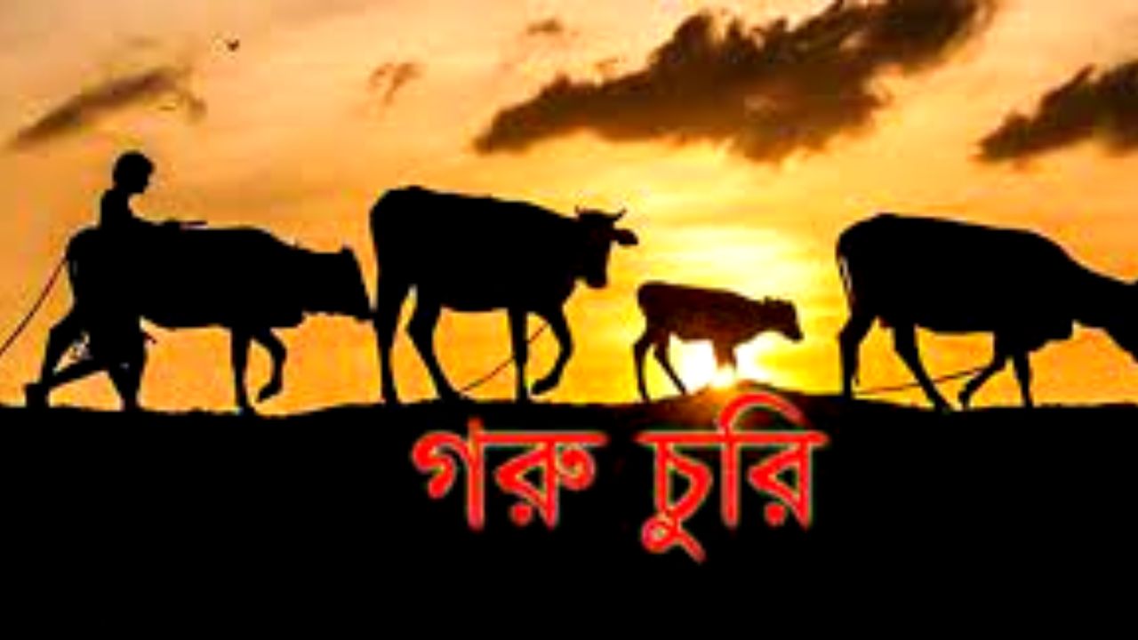 Feature Image