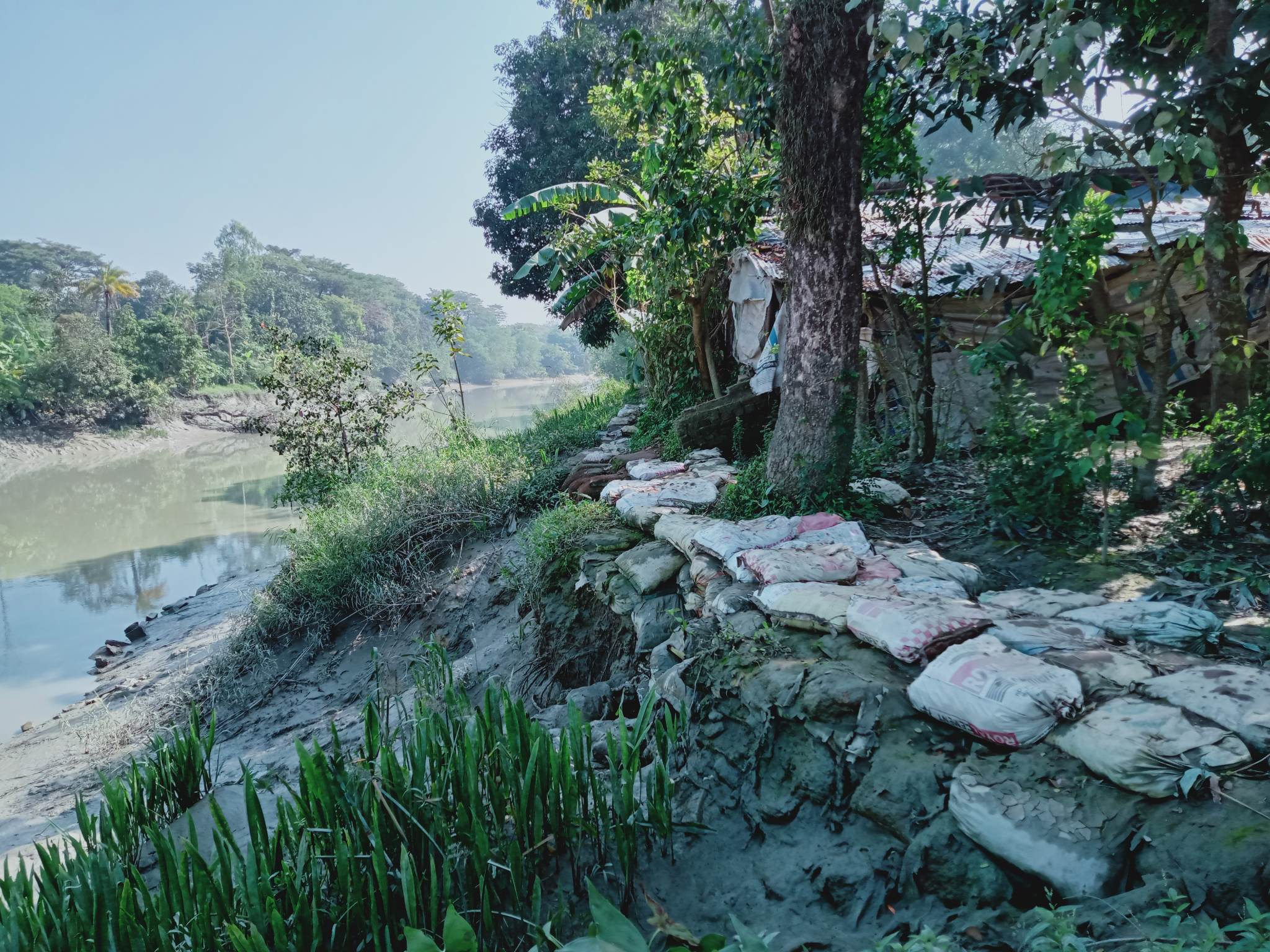 Feature Image