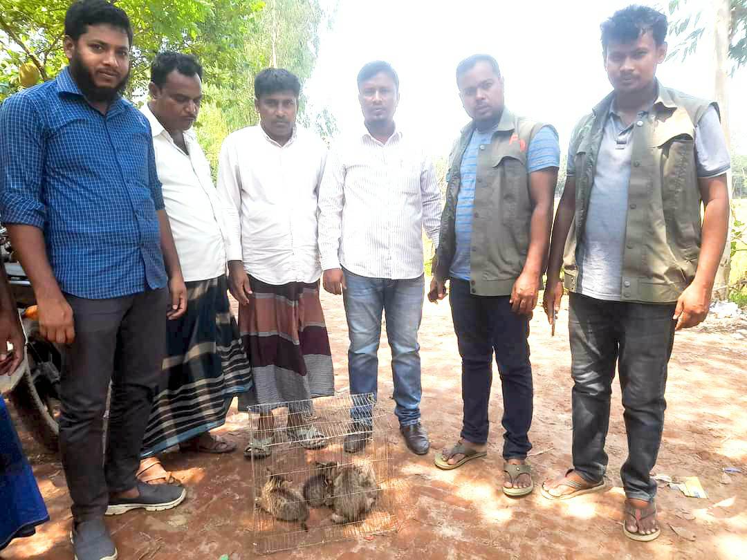 Feature Image
