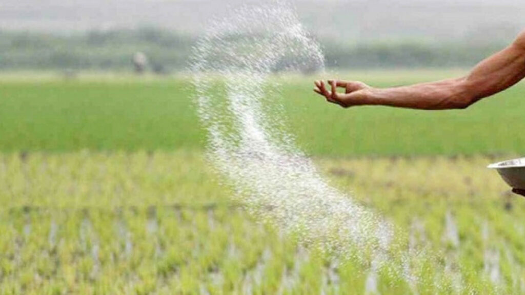 ৮০ হাজার টন টিএসপি ও পটাশ সার কিনবে সরকার