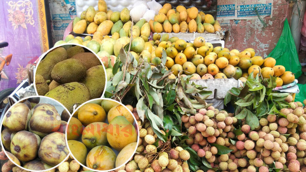 বান্দরবানের বাজারে মৌসুমি ফলের পসরা