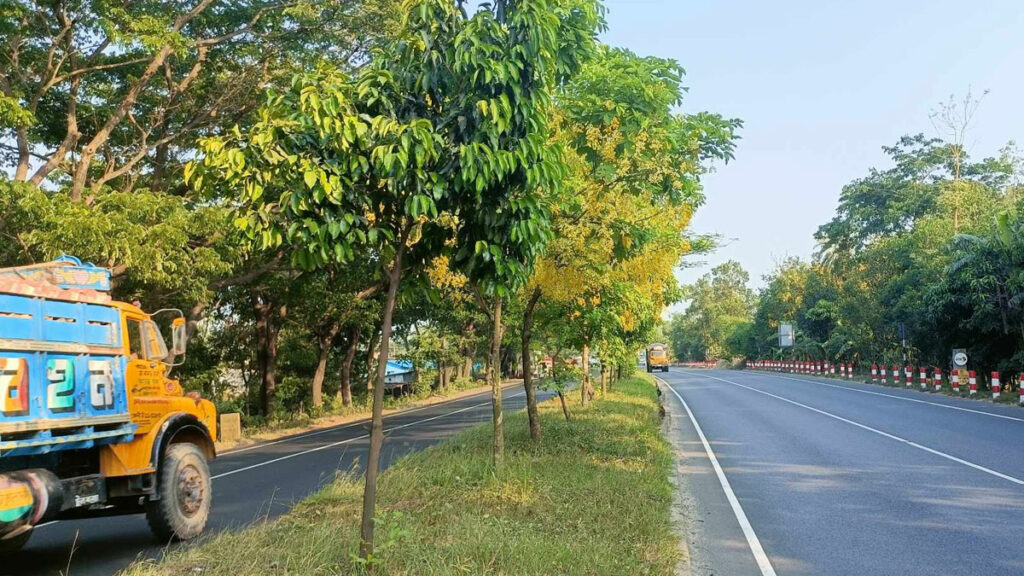 মহাসড়কে সৌন্দর্য বিলাচ্ছে হরেক রকমের ফুল