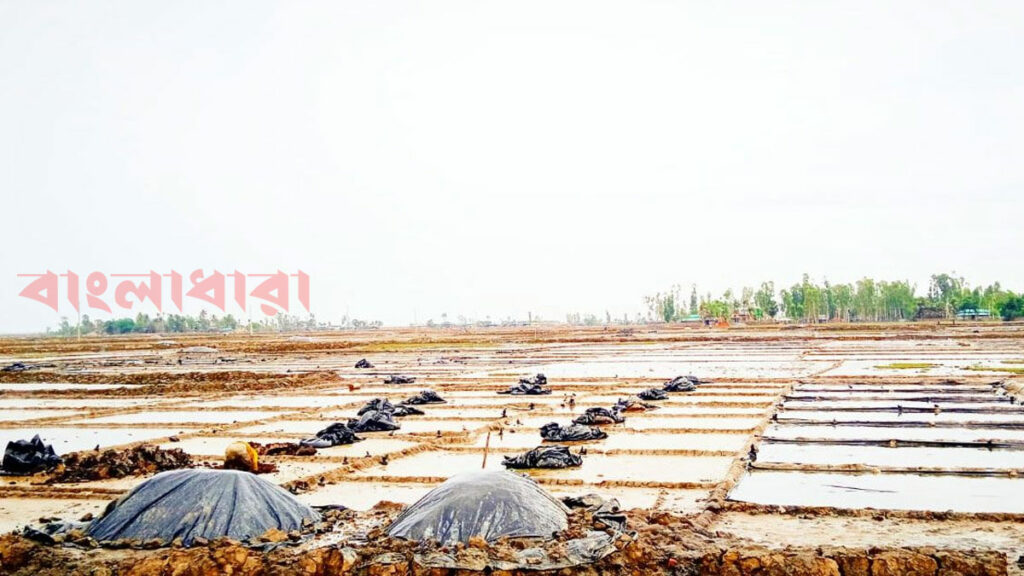 মোখার তান্ডব থেকে লবণ রক্ষা করতে গিয়ে ৩ লবণ চাষীর মৃত্যু!