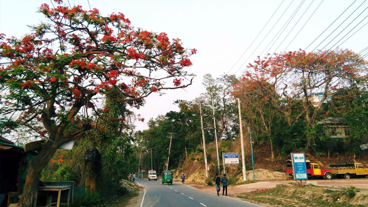 Feature Image