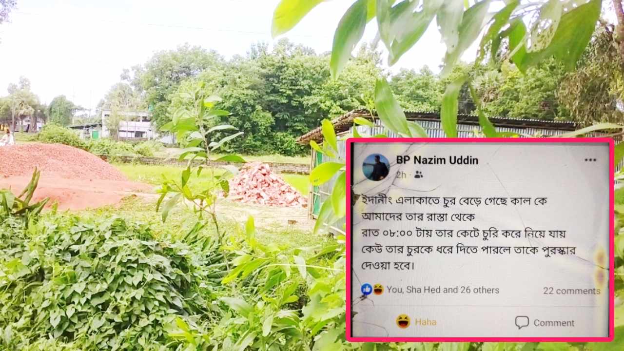 Feature Image