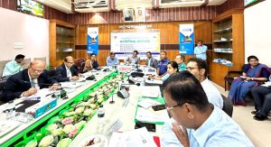 মিরসরাই উন্নয়ন