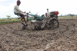 বোয়ালখালীতে