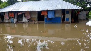 পাহাড়ি ঢলে