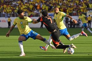 ব্রাজিলকে