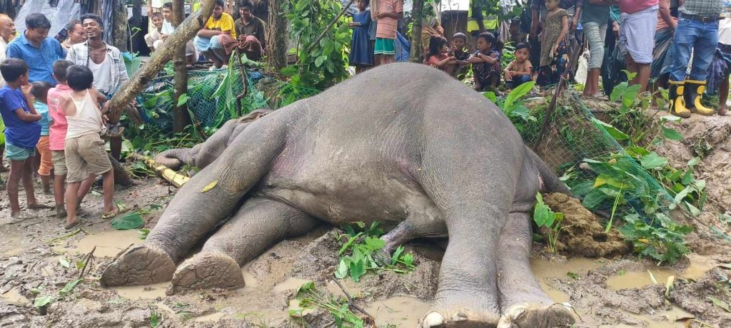 বৈদ্যুতিক