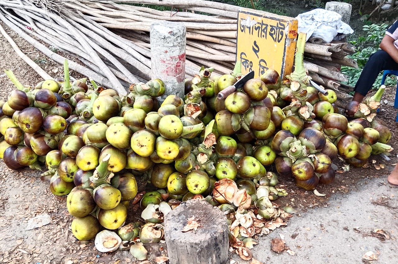 Feature Image
